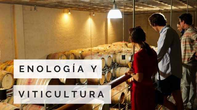 CERTIFICADO INTERNACIONAL EN ENOLOGÍA Y VITICULTURA